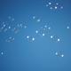 Illustration for article titled 12 Bubblicious Photos Of Bubbles
